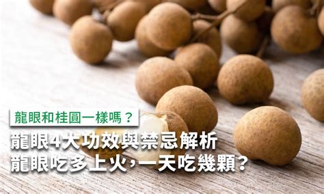 龍眼樹風水|龍眼樹風水解析 – 提升家居風水能量的方法【龍眼樹 風水】 – 八。